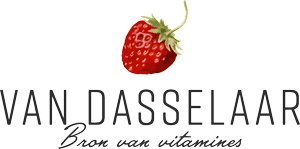 Van Dasselaar